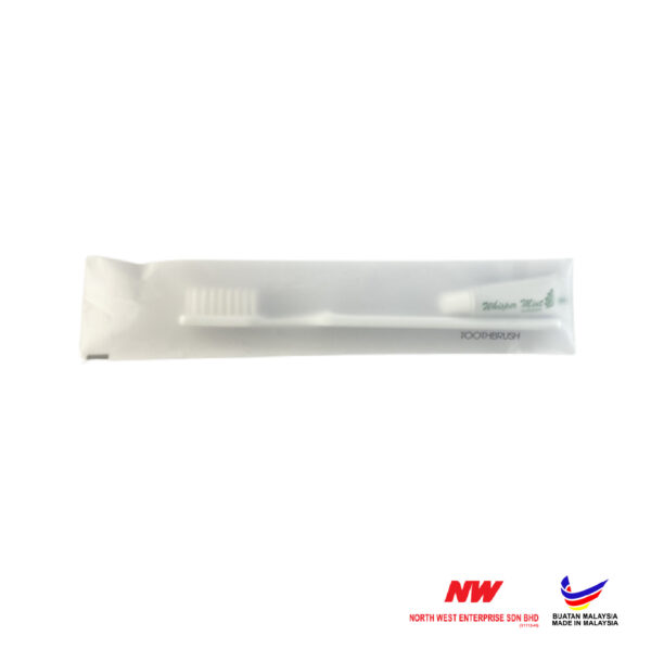 Dental Kit- CPE NW House Brand (500pcs)