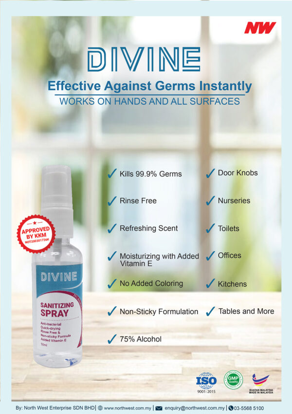DIVINE Spray Hand Sanitizer 50ml (500pcs)
